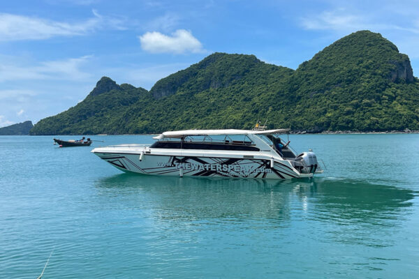 Angthong Marine Park Private Speedboat Tour - Image 8
