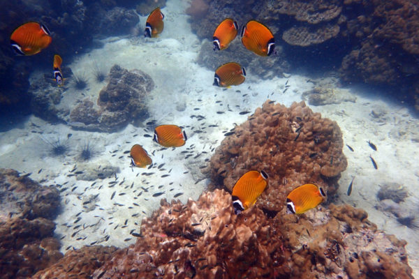 Angthong Marine Park Semi Private Yacht Tour - Image 9