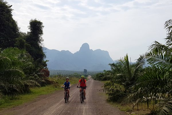 Half Day Cycling Tour