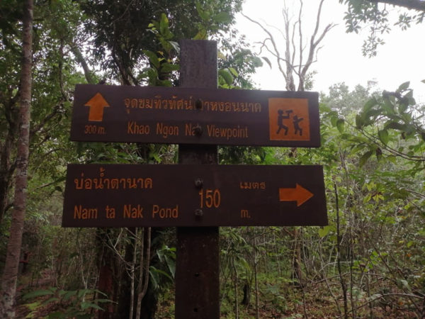 Hiking Tour Khao Hon Nak - Image 12