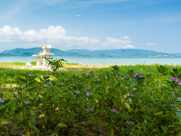 Luxury Yacht Islands Surrounding Koh Samui - Image 13