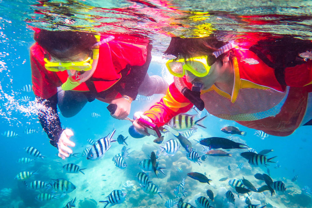 Snorkeling Tours and Trips around Koh Samui