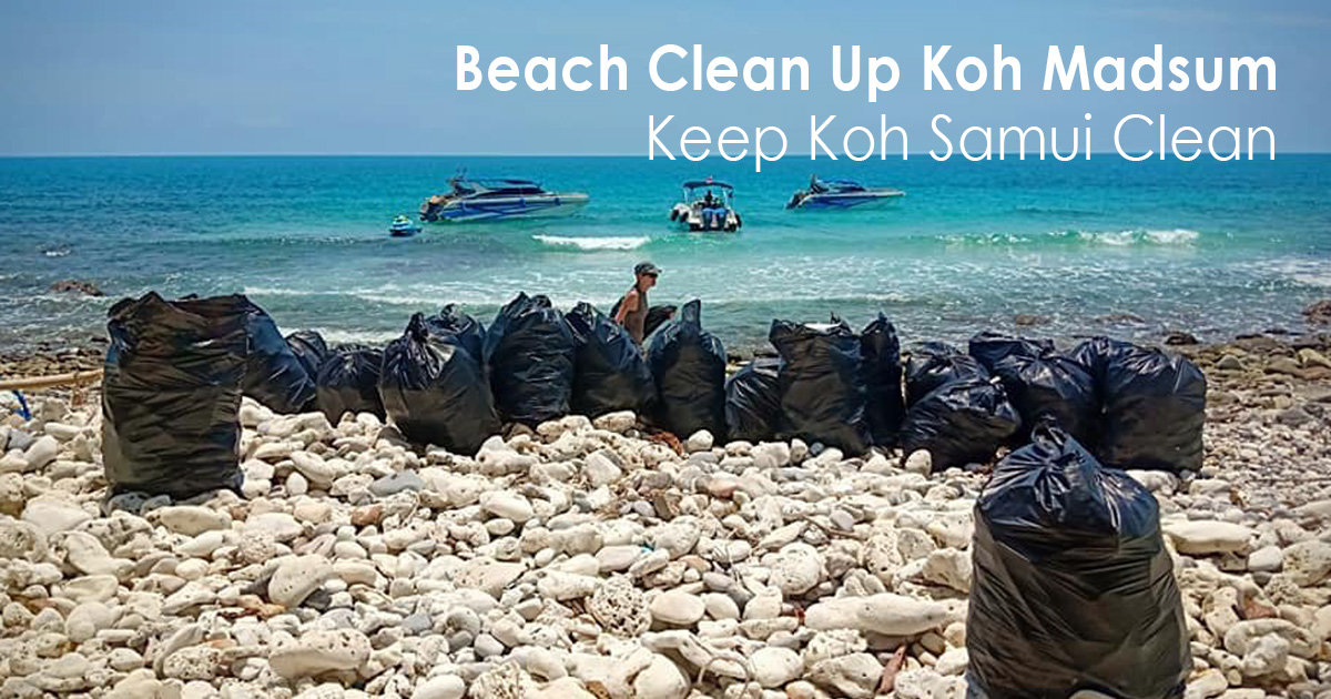 Beach Clean Up Koh Madsum