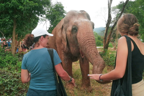 Samui Elephant Sanctuary