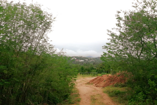 Samui Elephant Sanctuary