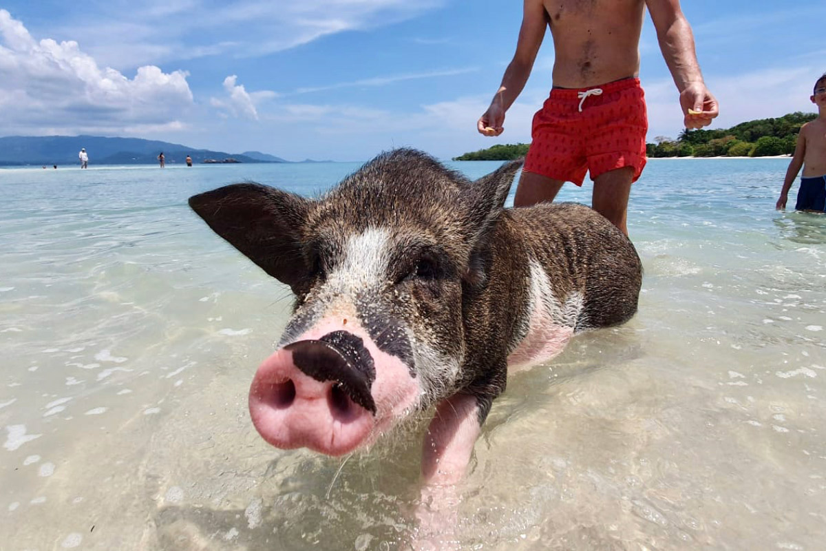 Koh Madsum (Pig Island)