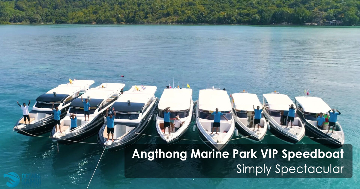 Angthong Marine Park VIP Speedboat Simply Spectacular