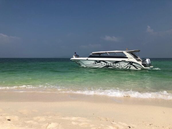 Pig Island and Koh Rap Private Speedboat Tour - Image 3
