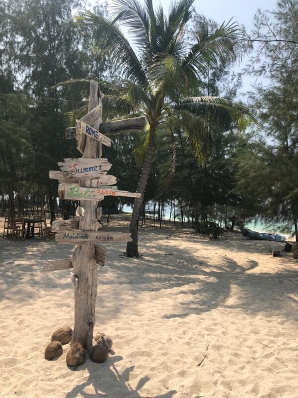 Pig Island and Koh Rap Private Speedboat Tour - Image 5
