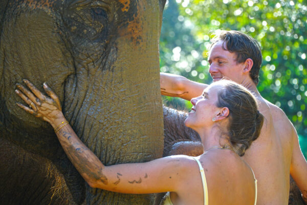 Elephant Mud Spa Experience - Image 8