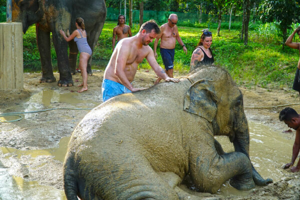 Elephant Mud Spa Experience - Image 16