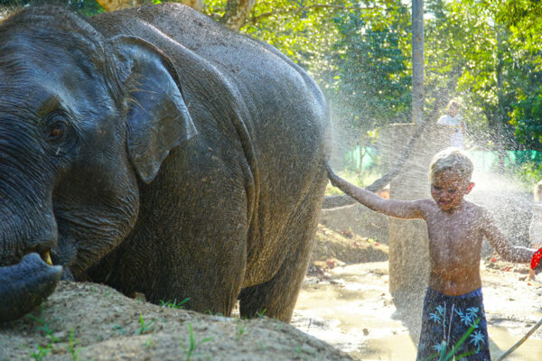 Elephant Mud Spa Experience - Image 19