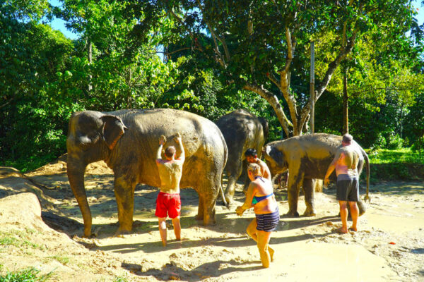 Elephant Mud Spa Experience - Image 18