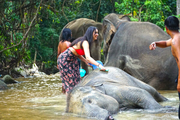 Elephant Mud Spa Experience - Image 21