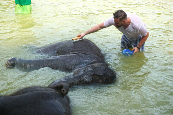 Elephant Mud Spa Experience - Image 24