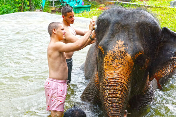 Elephant Mud Spa Experience - Image 23