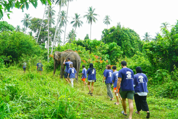 Elephant Mud Spa Experience - Image 28