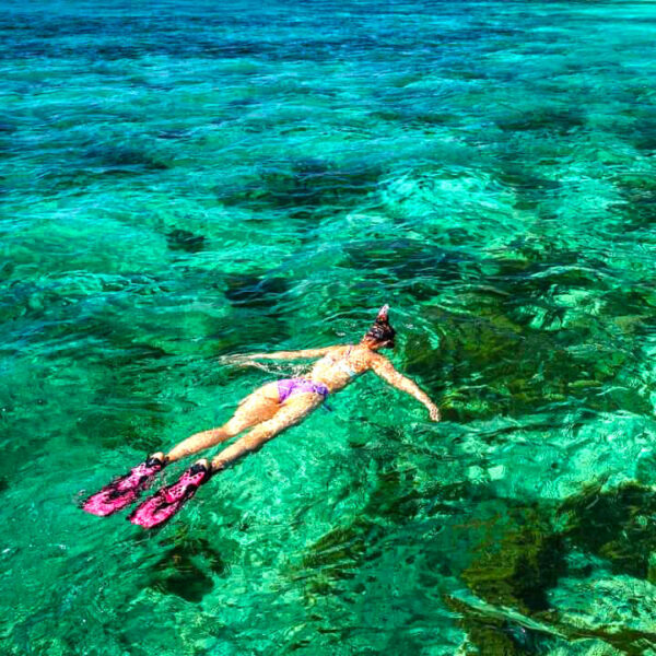 Koh Tao VIP Eco Friendly Snorkeling Tour - Image 10