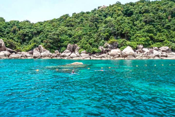 Koh Tao VIP Eco Friendly Snorkeling Tour - Image 12