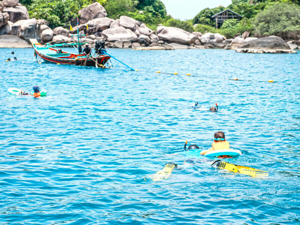 Koh Tao VIP Eco Friendly Snorkeling Tour - Image 6