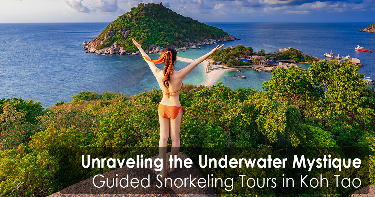 Unraveling the Underwater Mystique - Guided Snorkeling Tours in Koh Tao