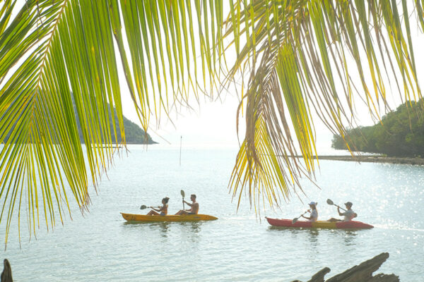 Luxury Longtail Boat Excursion