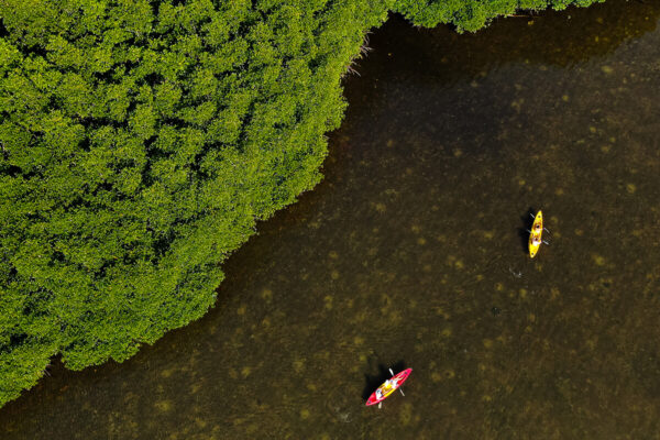 Luxury Longtail Boat Excursion