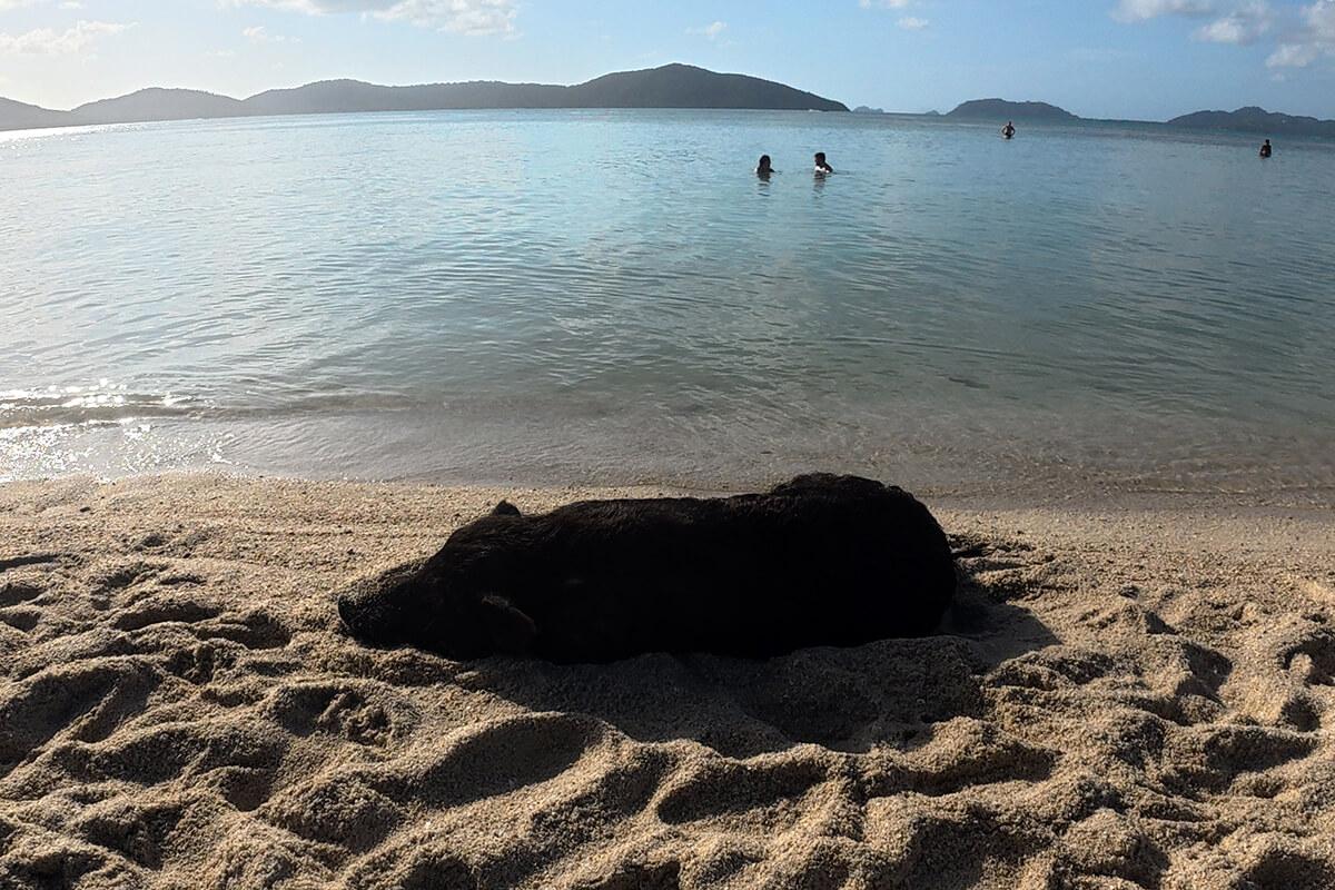 Luxury Longtail Boat Excursion - Image 6