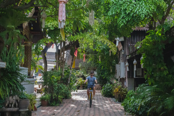 3 Hrs Bicycle Tour Chiang Mai - Image 9