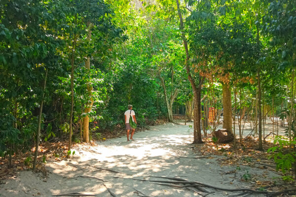Hong Island VIP Private Longtail Boat Tour - Image 6