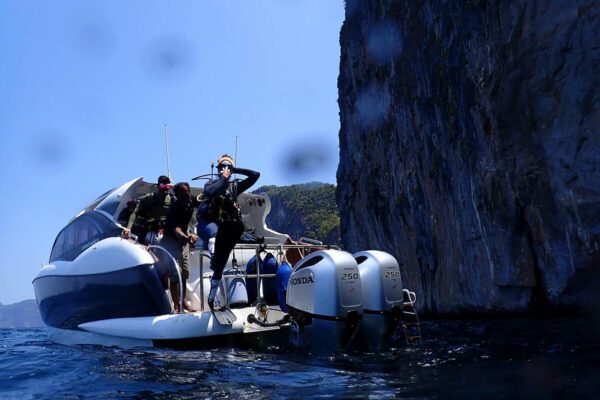 Private Luxury Speedboat Charter Phuket - Image 3