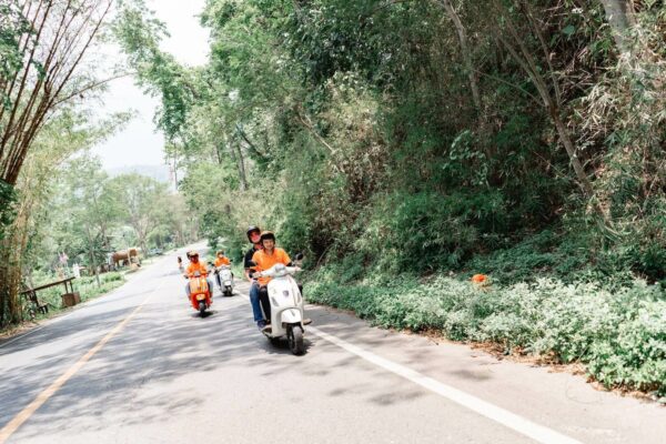 Chiang Mai Countryside Vespa Tour - Image 7