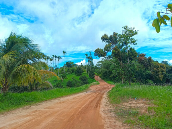 Off-Road 4x4 Joint Sightseeing Tour - Image 8