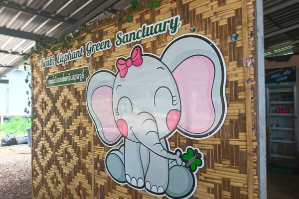 Ethical Elephant Green Sanctuary Krabi - Image 4