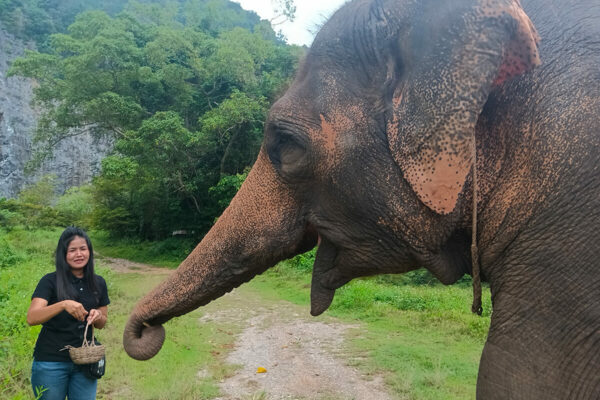 Ethical Elephant Green Sanctuary Krabi - Image 9