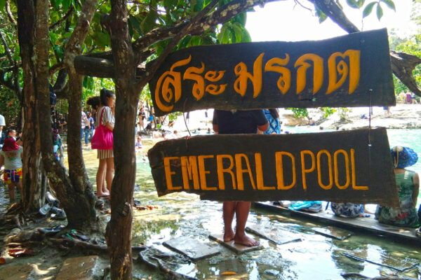 Ethical Elephant Green Sanctuary Krabi - Image 15