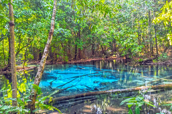 Ethical Elephant Green Sanctuary Krabi - Image 18