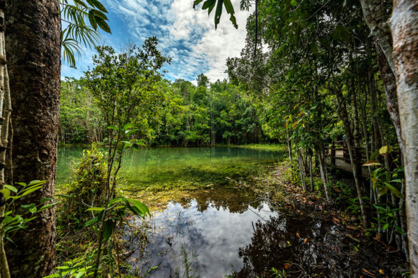 Ethical Elephant Green Sanctuary Krabi - Image 19