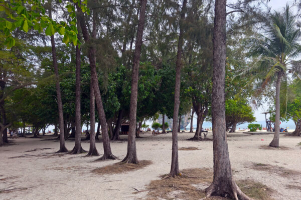 Krabi 4 Islands Private Luxury Longtail Boat Tour - Image 7