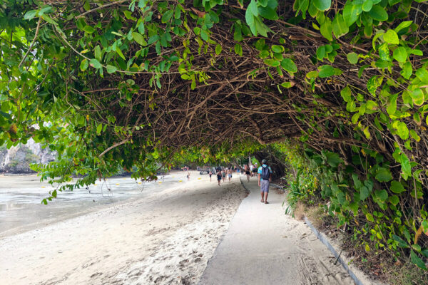 Krabi 4 Islands Private Luxury Longtail Boat Tour - Image 8