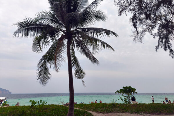 Krabi 4 Islands Private Luxury Longtail Boat Tour - Image 14