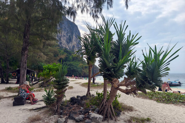 Krabi 4 Islands Private Luxury Longtail Boat Tour - Image 13