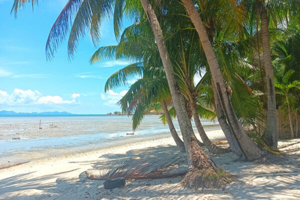 The Funky Beach Bar Tour - Image 2