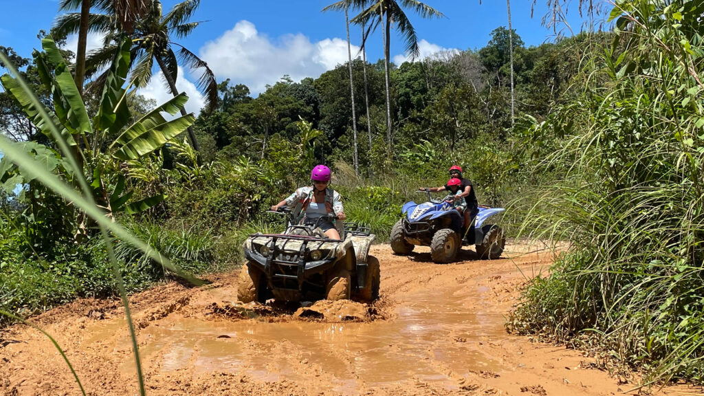 Group Sightseeing Tours