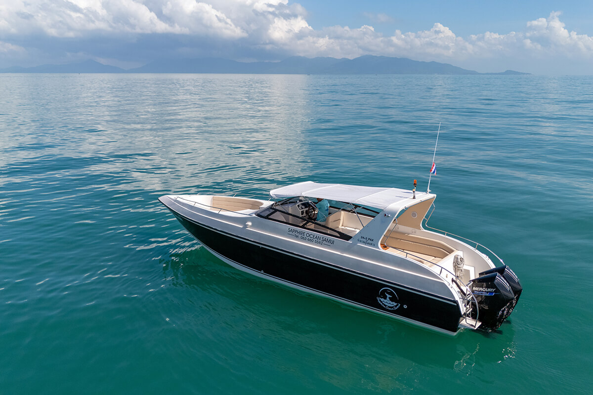 Luxury Private Twin-Engine Speedboat - Image 7