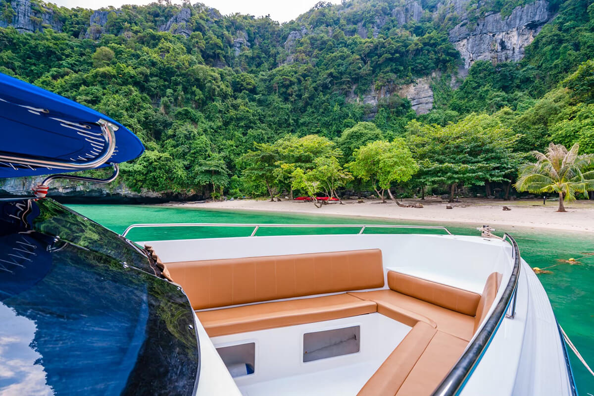 Pig Island & Koh Taen Speedboat Tour - Image 3