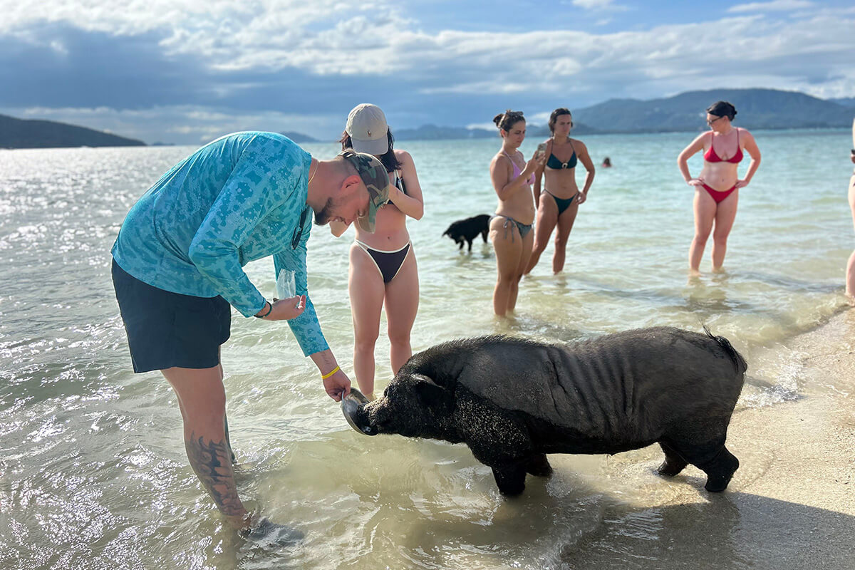 Pig Island & Koh Taen Speedboat Tour - Image 10