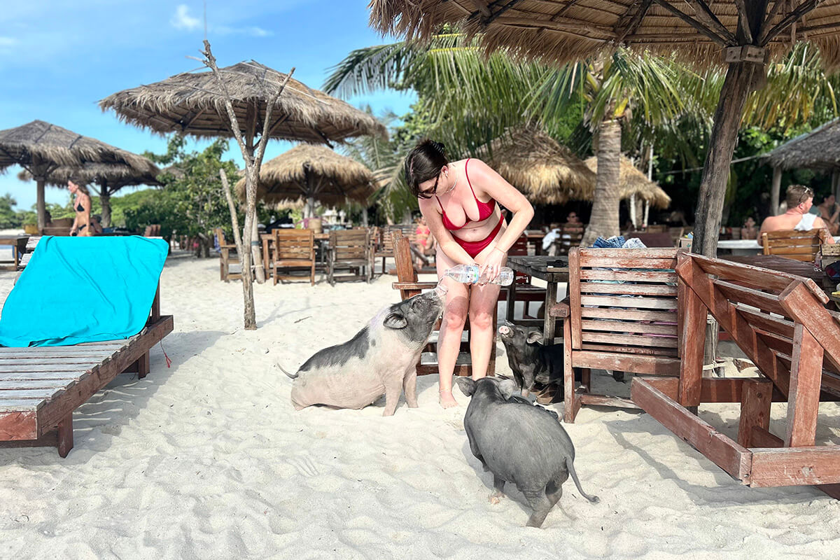 Pig Island & Koh Taen Speedboat Tour - Image 11