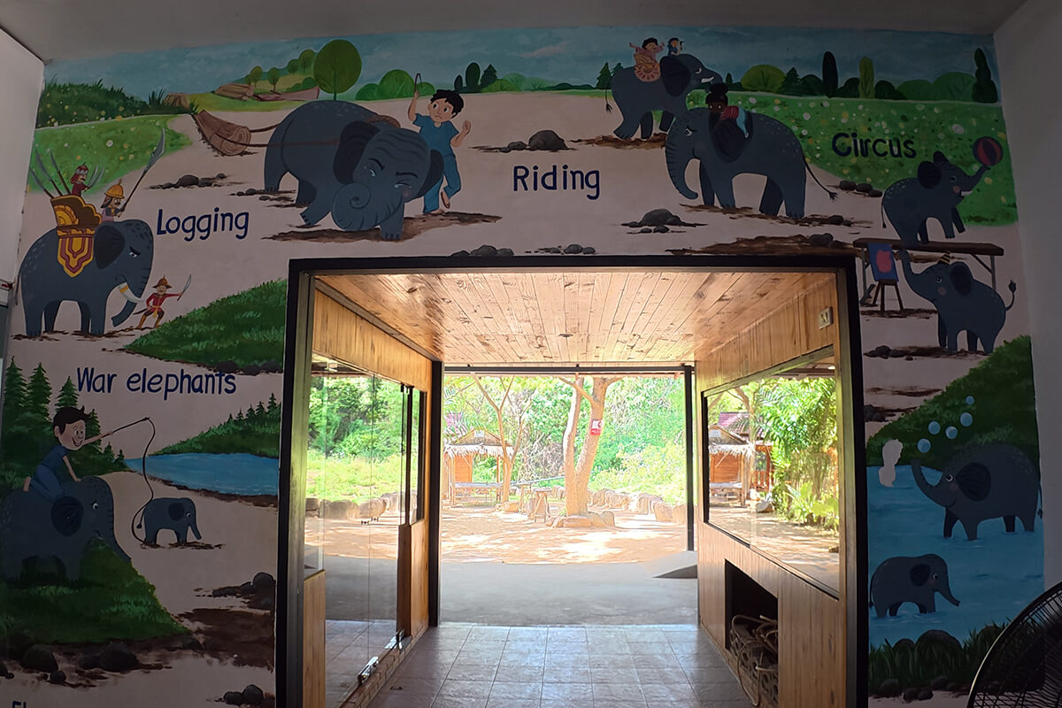 Elephant Feeding Program - Image 17