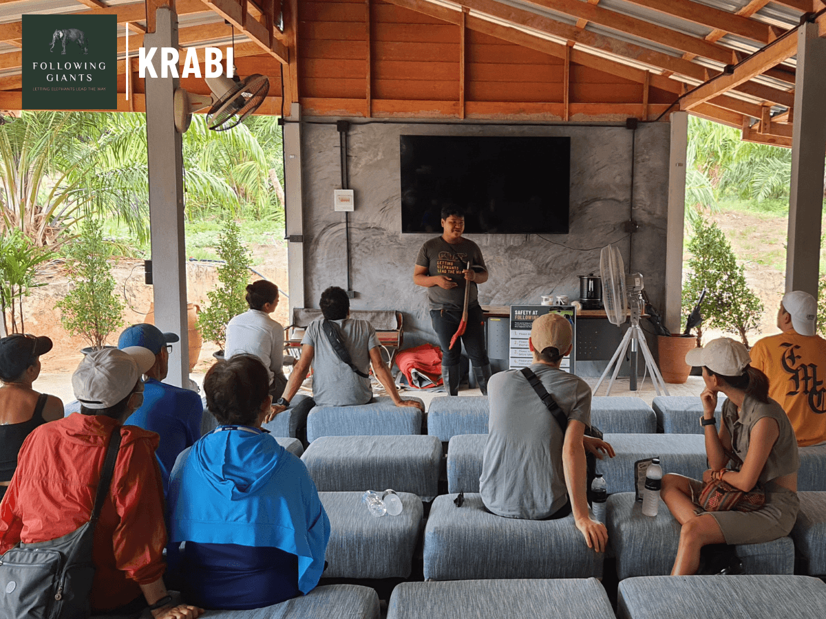 Following the Giants and Kayaking Krabi - Image 11